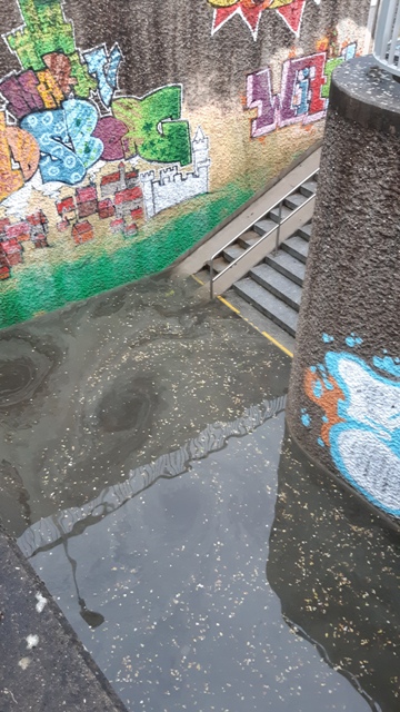 20210608_175600 groß.jpg